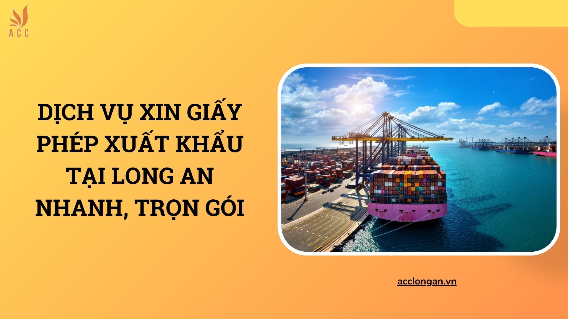 Dịch vụ xin giấy phép xuất khẩu tại Long An nhanh, trọn gói