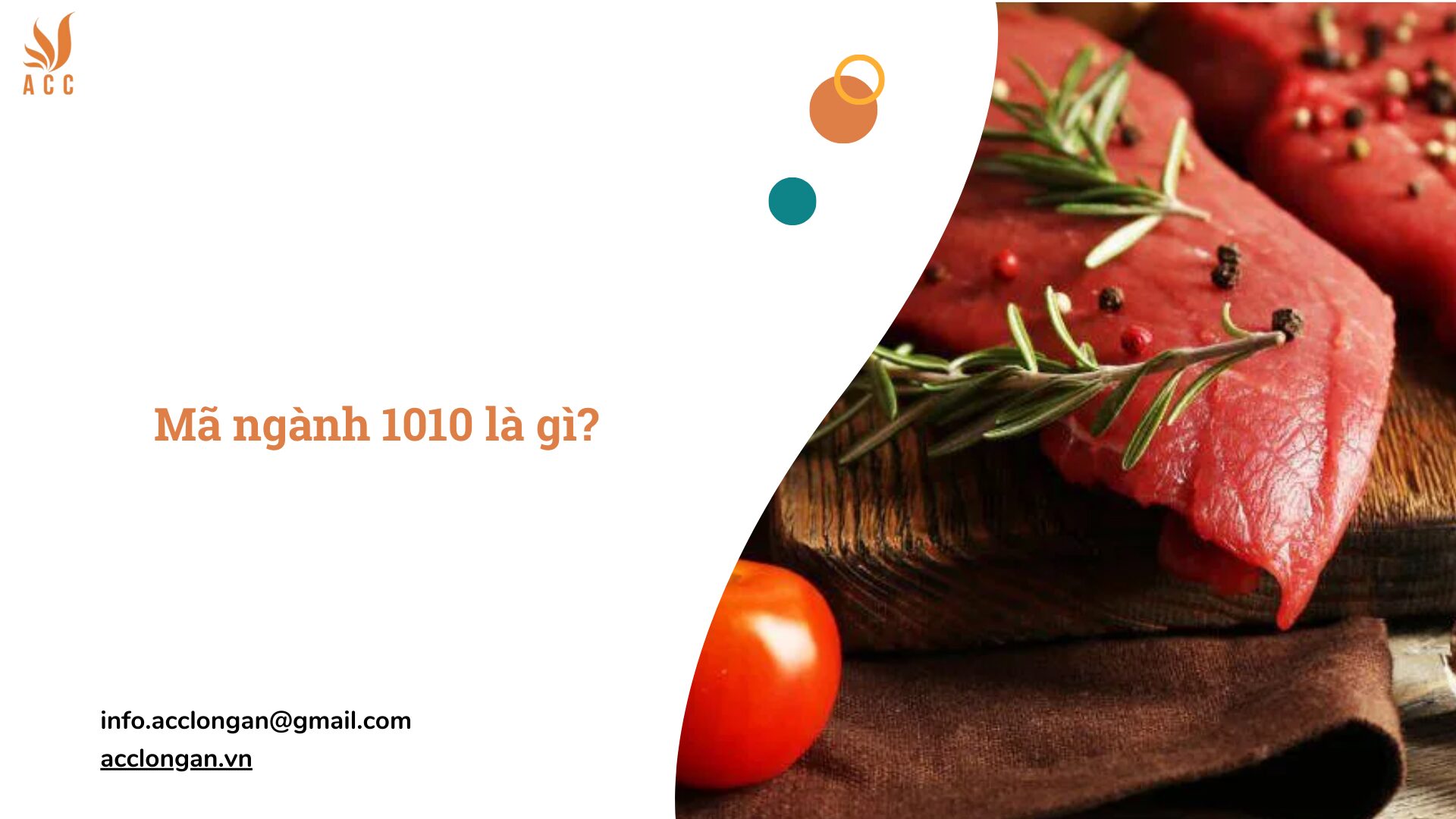 Mã ngành 1010 là gì