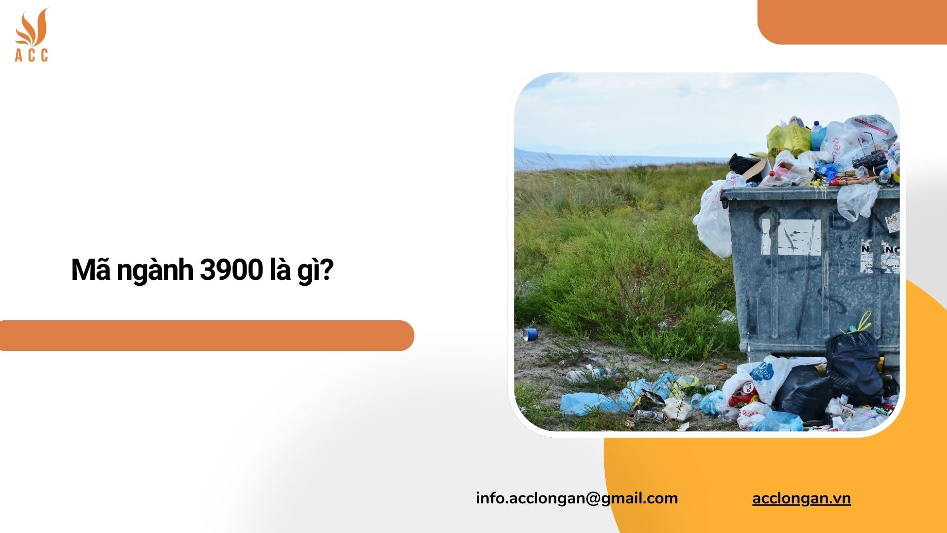 Mã ngành 3900 là gì