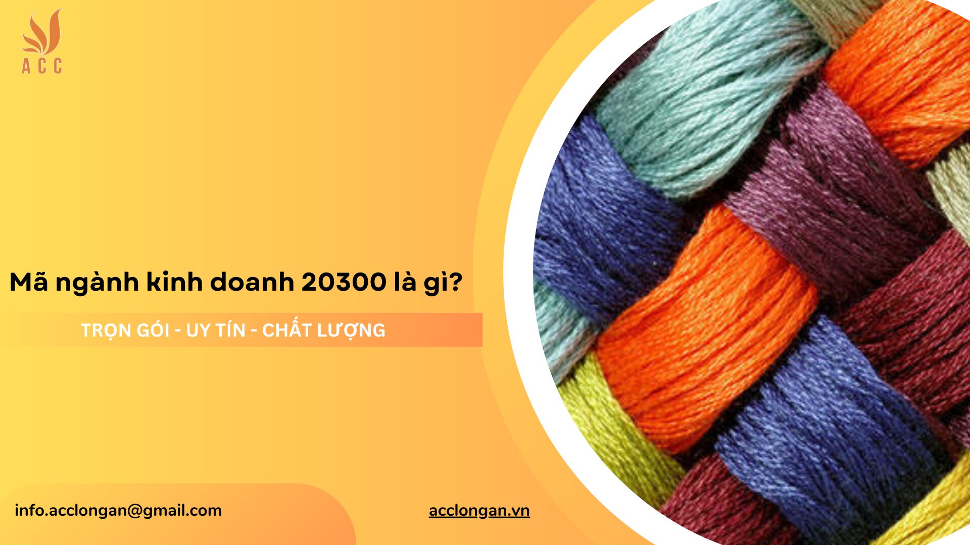 Mã ngành kinh doanh 20300 là gì?