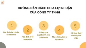 Hướng dẫn cách chia lợi nhuận của công ty TNHH