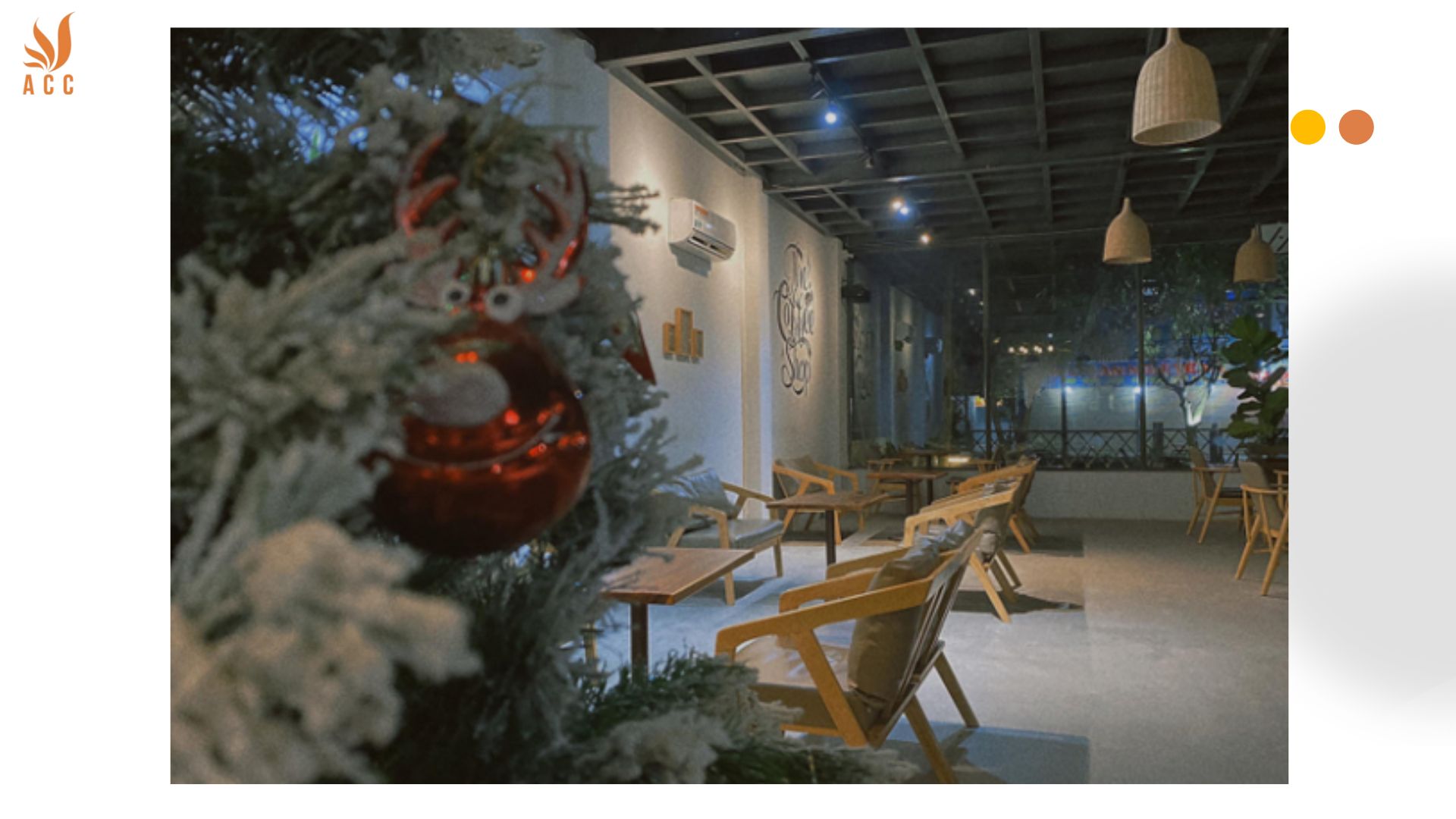 Paradise Coffee and Tea