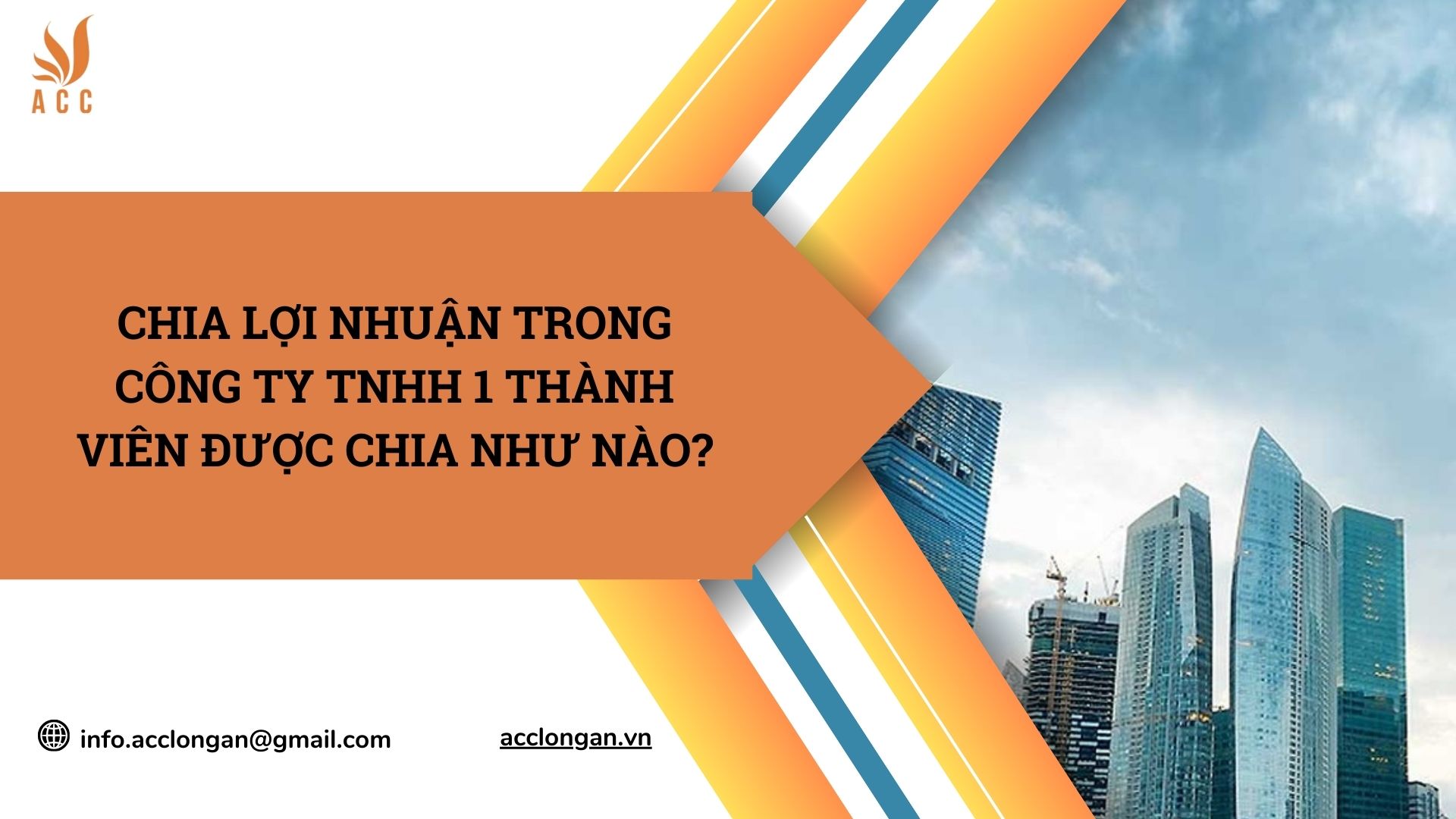 Chia lợi nhuận trong công ty TNHH 1 thành viên được chia như nào