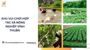 Khu vui chơi Hợp tác xã Nông nghiệp Vĩnh Thuận – Trải nghiệm nông thôn thú vị