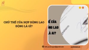 Chủ thể của hợp động lao động là gì?.jpg