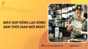 Mẫu hợp đồng lao động bán thời gian mới nhất.jpg