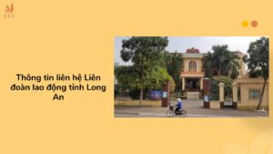 Thông tin liên hệ Liên đoàn lao động tỉnh Long An