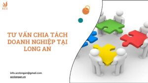 Tư vấn chia tách doanh nghiệp tại Long An.jpg