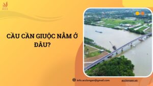 Cầu Cần Giuộc nằm ở đâu?.jpg
