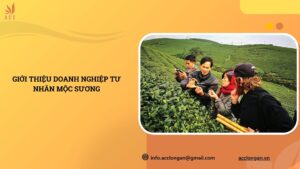 Giới thiệu doanh nghiệp tư nhân Mộc Sương.jpg