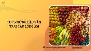 Top những đặc sản trái cây Long An.jpg