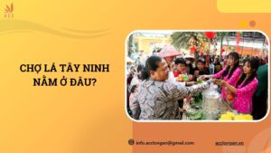 Chợ Lá Tây Ninh nằm ở đâu?.jpg