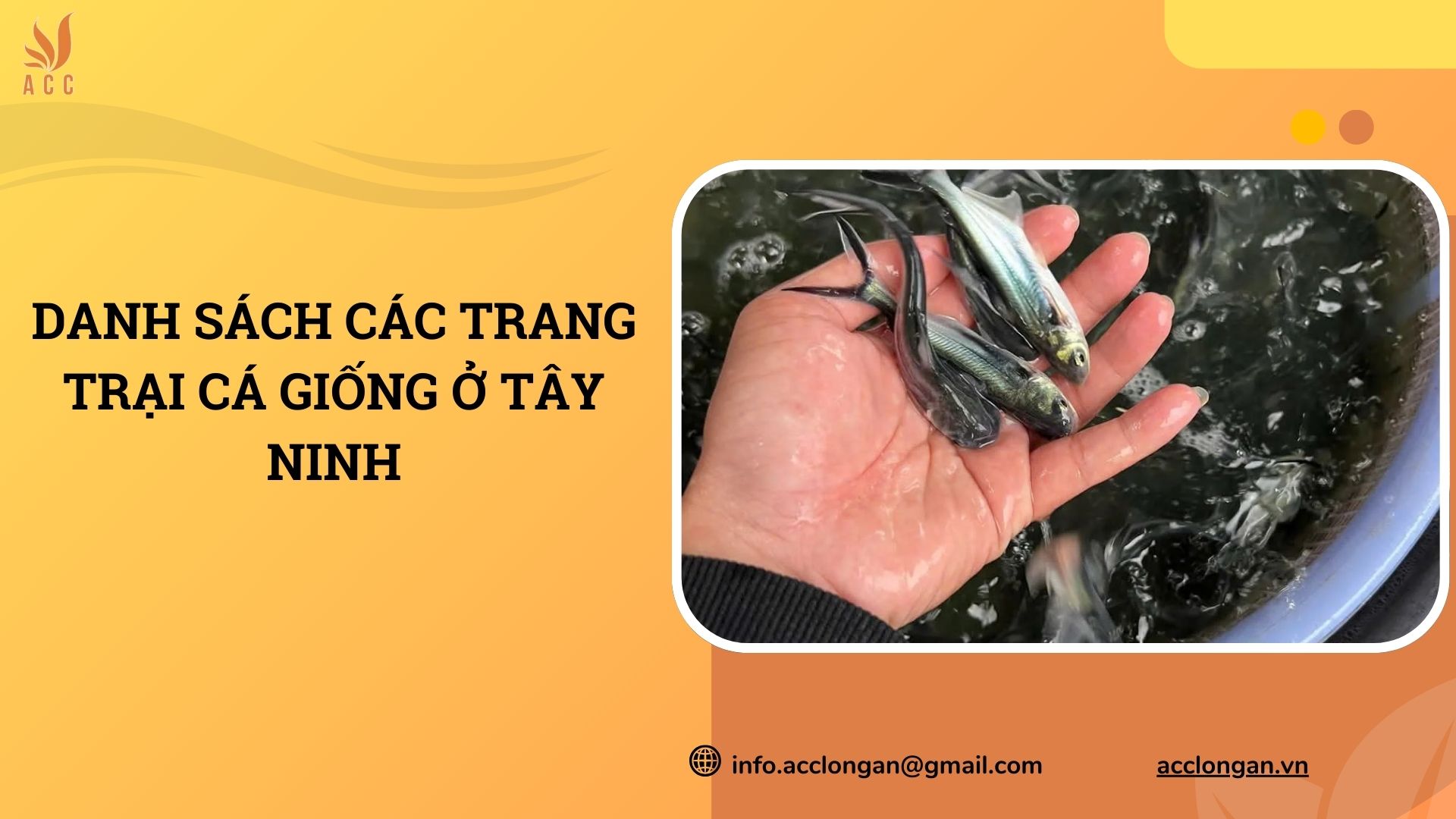 Danh sách các trang trại cá giống ở Tây Ninh