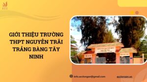 Giới thiệu Trường THPT Nguyễn Trãi Trảng Bàng Tây Ninh.jpg