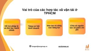 Vai trò của các hợp tác xã vận tải ở TPHCM