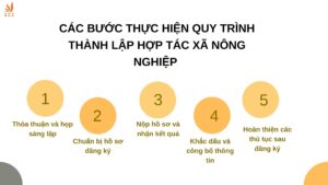 Các bước thực hiện quy trình thành lập hợp tác xã nông nghiệp