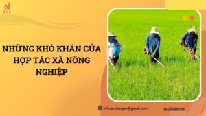 Những khó khăn của hợp tác xã nông nghiệp.jpg