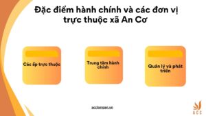 Đặc điểm hành chính và các đơn vị trực thuộc xã An Cơ