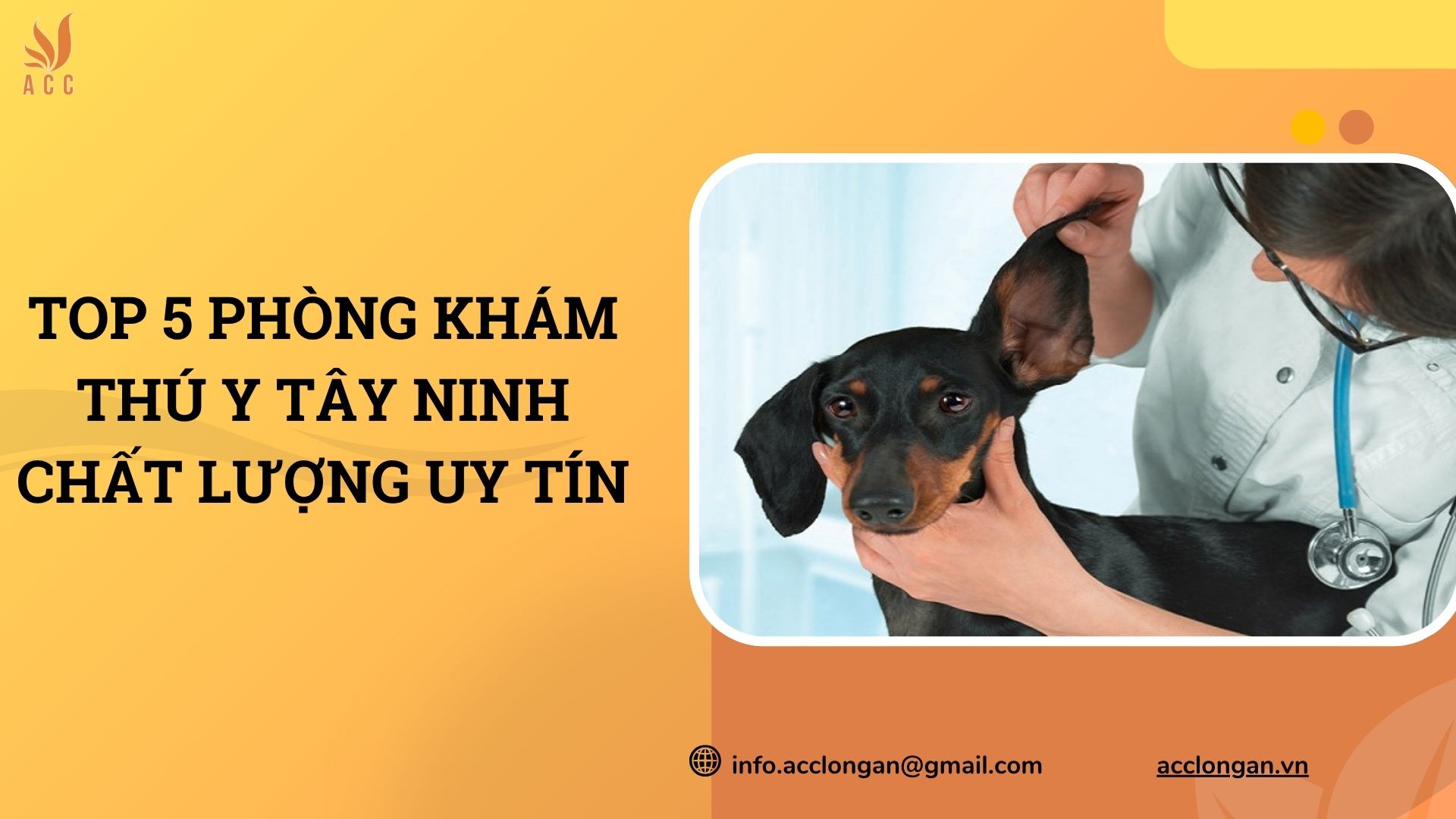 Địa chỉ các chi nhánh ngân hàng Techcombank Tây Ninh