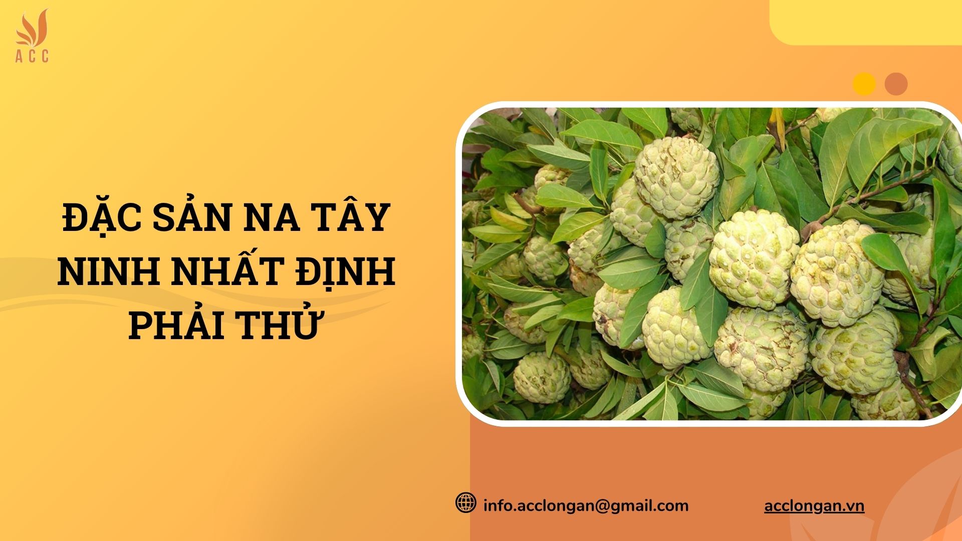 Đặc sản na Tây Ninh nhất định phải thử