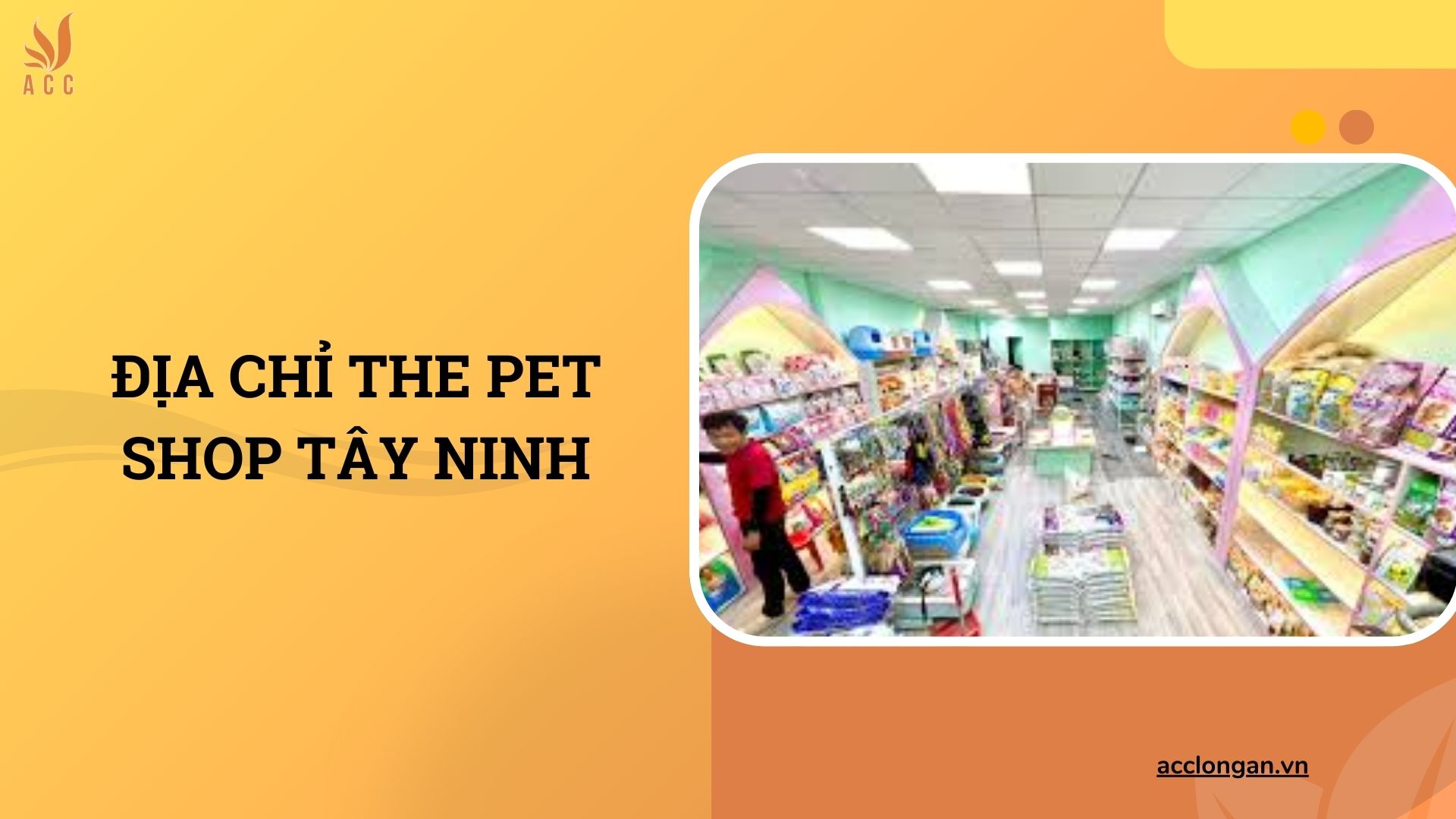 Địa chỉ The PET Shop Tây Ninh