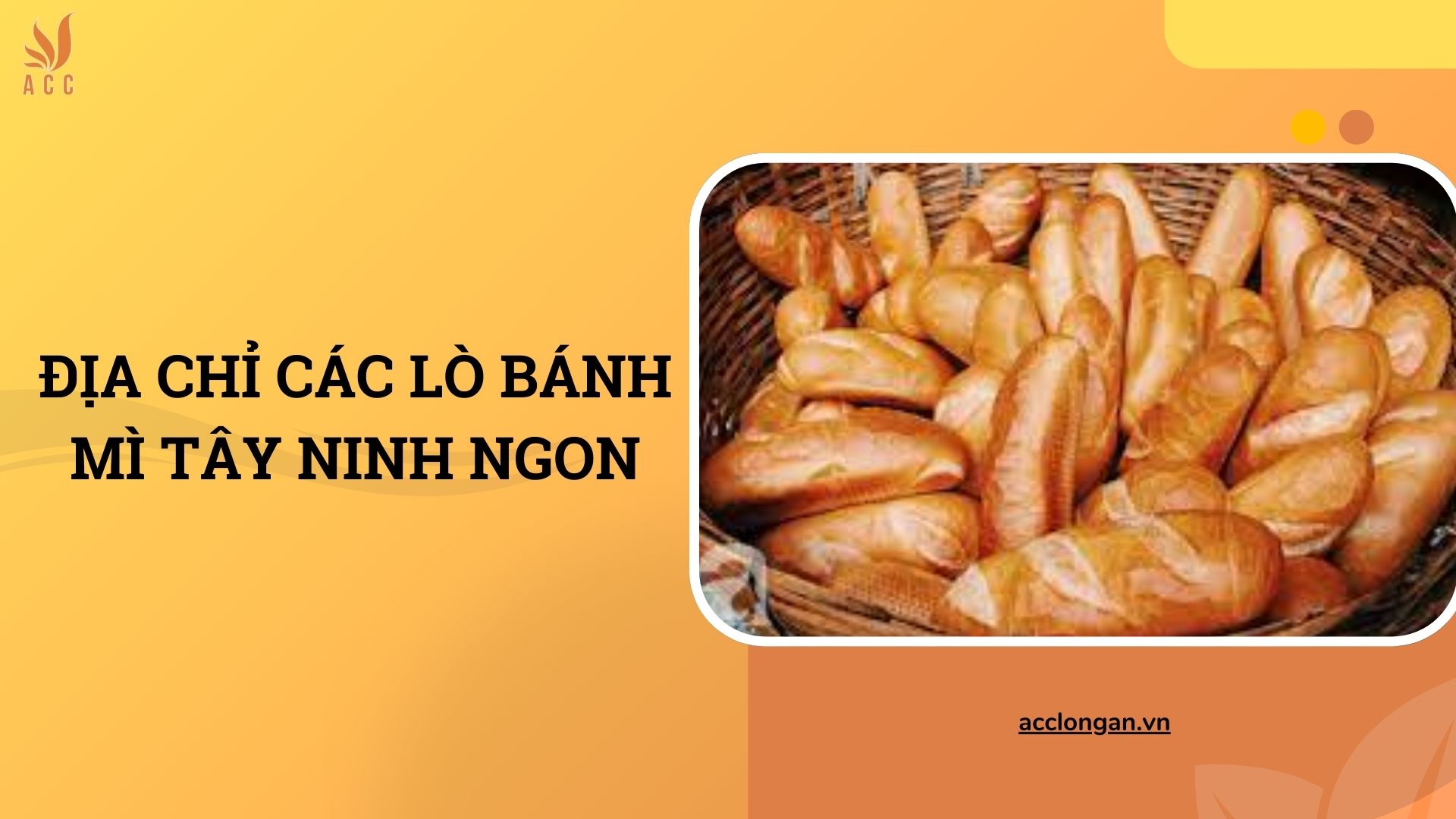 Địa chỉ các lò bánh mì Tây Ninh ngon