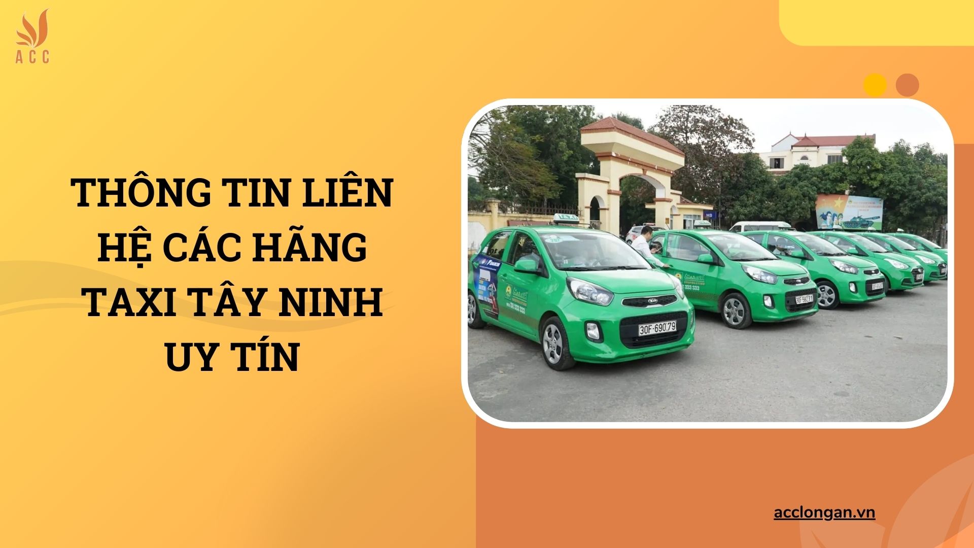 Thông tin liên hệ các hãng taxi Tây Ninh uy tín