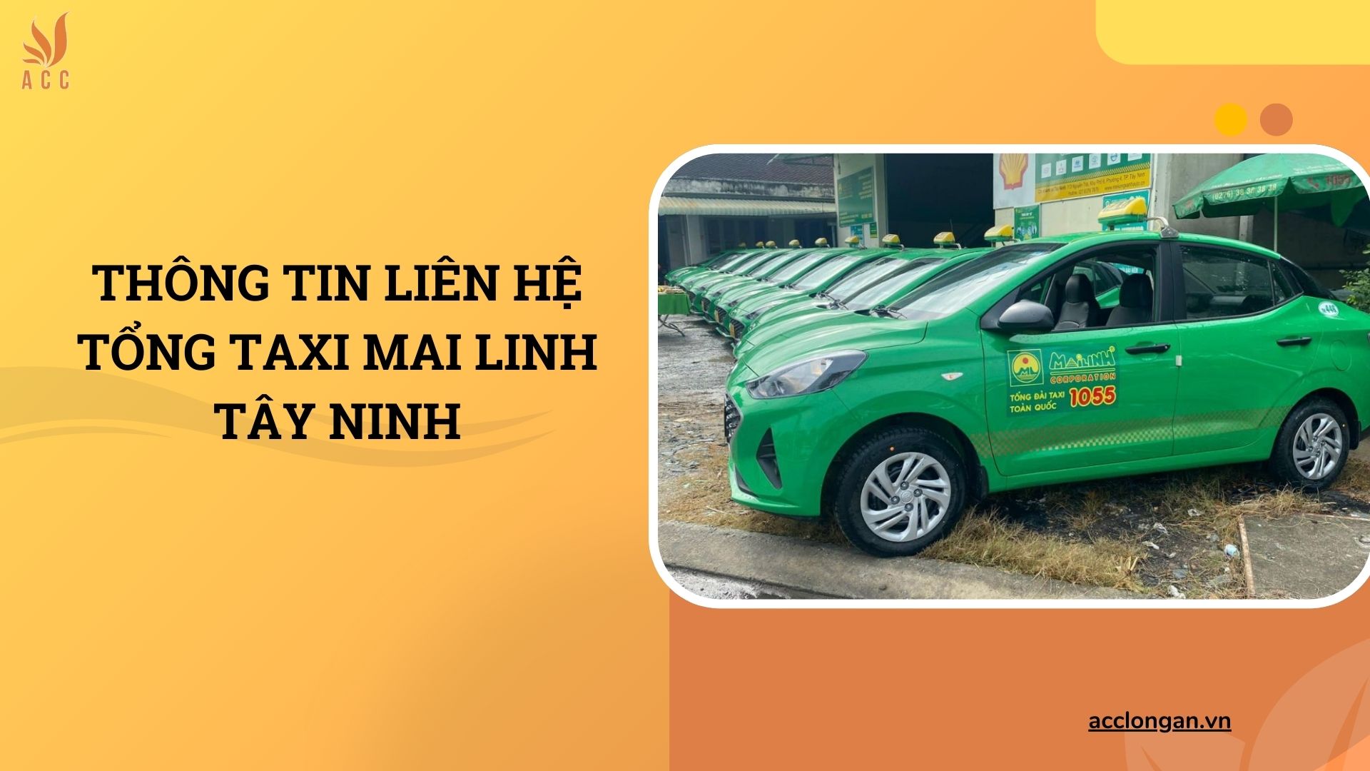 Thông tin liên hệ tổng taxi Mai Linh Tây Ninh