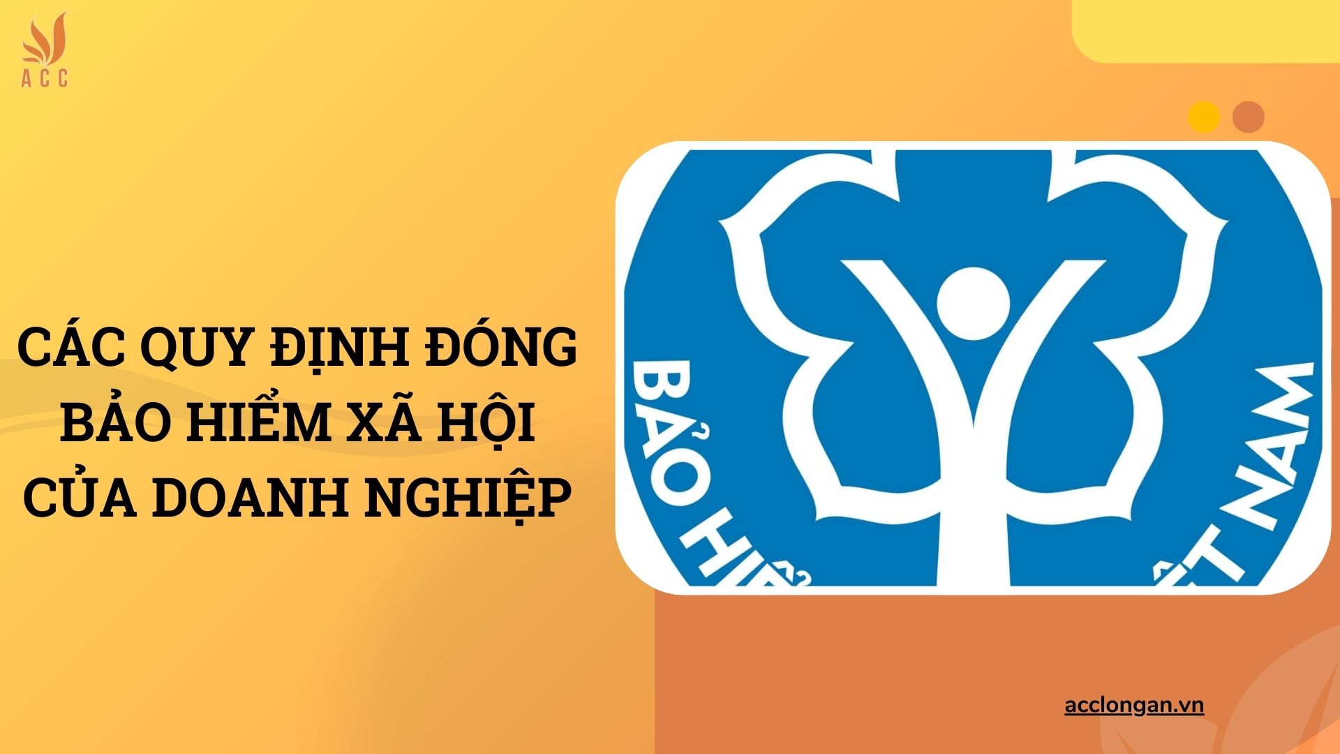 Các quy định đóng bảo hiểm xã hội của doanh nghiệp