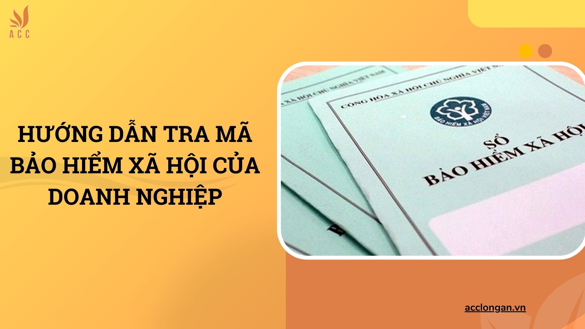 Hướng dẫn tra mã bảo hiểm xã hội của doanh nghiệp