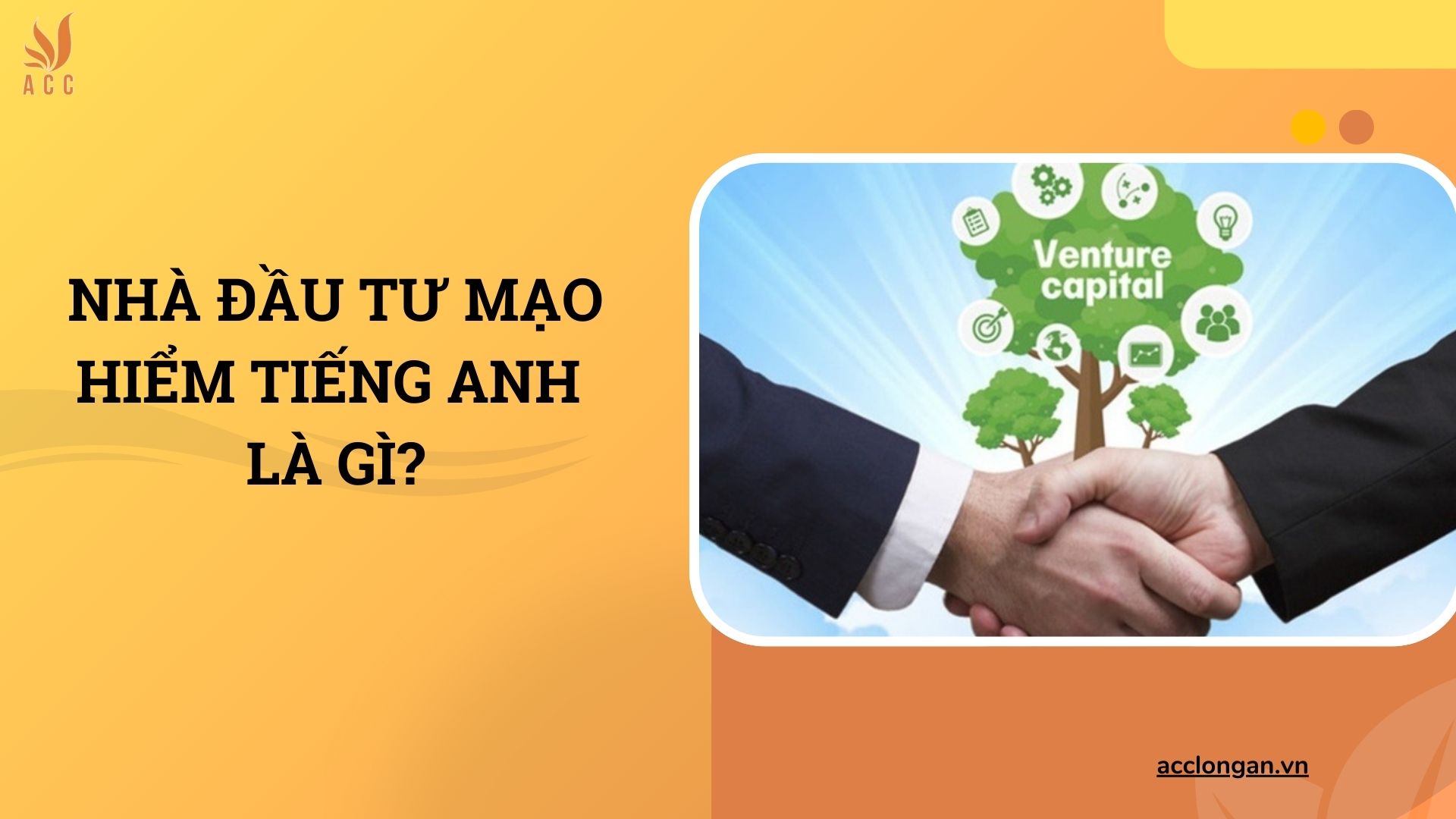 Nhà đầu tư mạo hiểm tiếng Anh là gì?