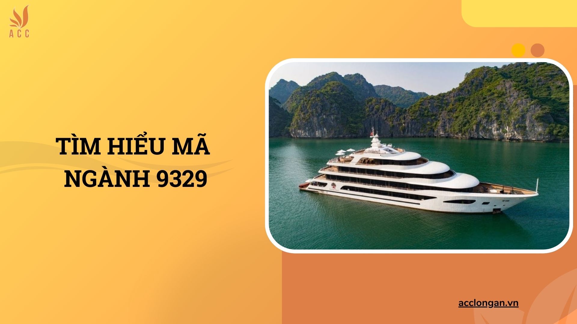 TÌm hiểu mã ngành 9329
