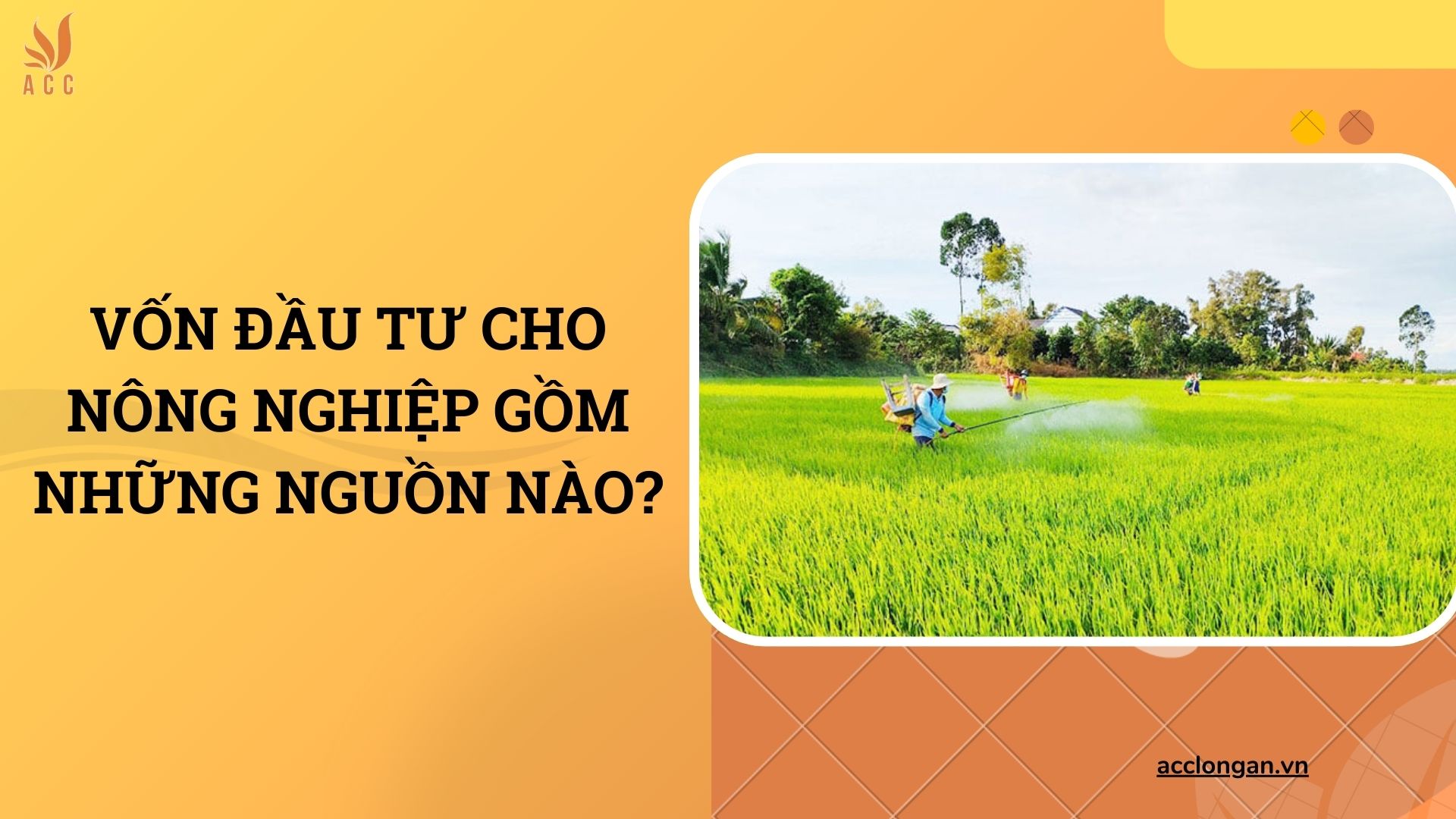 Vốn đầu tư cho nông nghiệp gồm những nguồn nào?