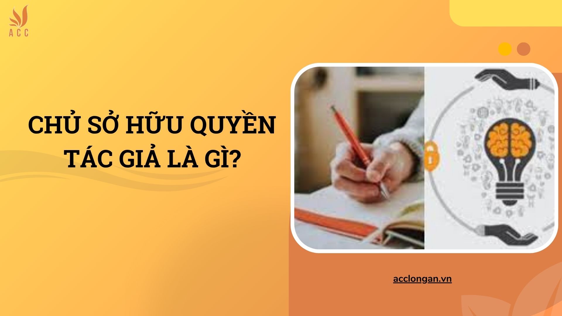 Chủ sở hữu quyền tác giả là gì?