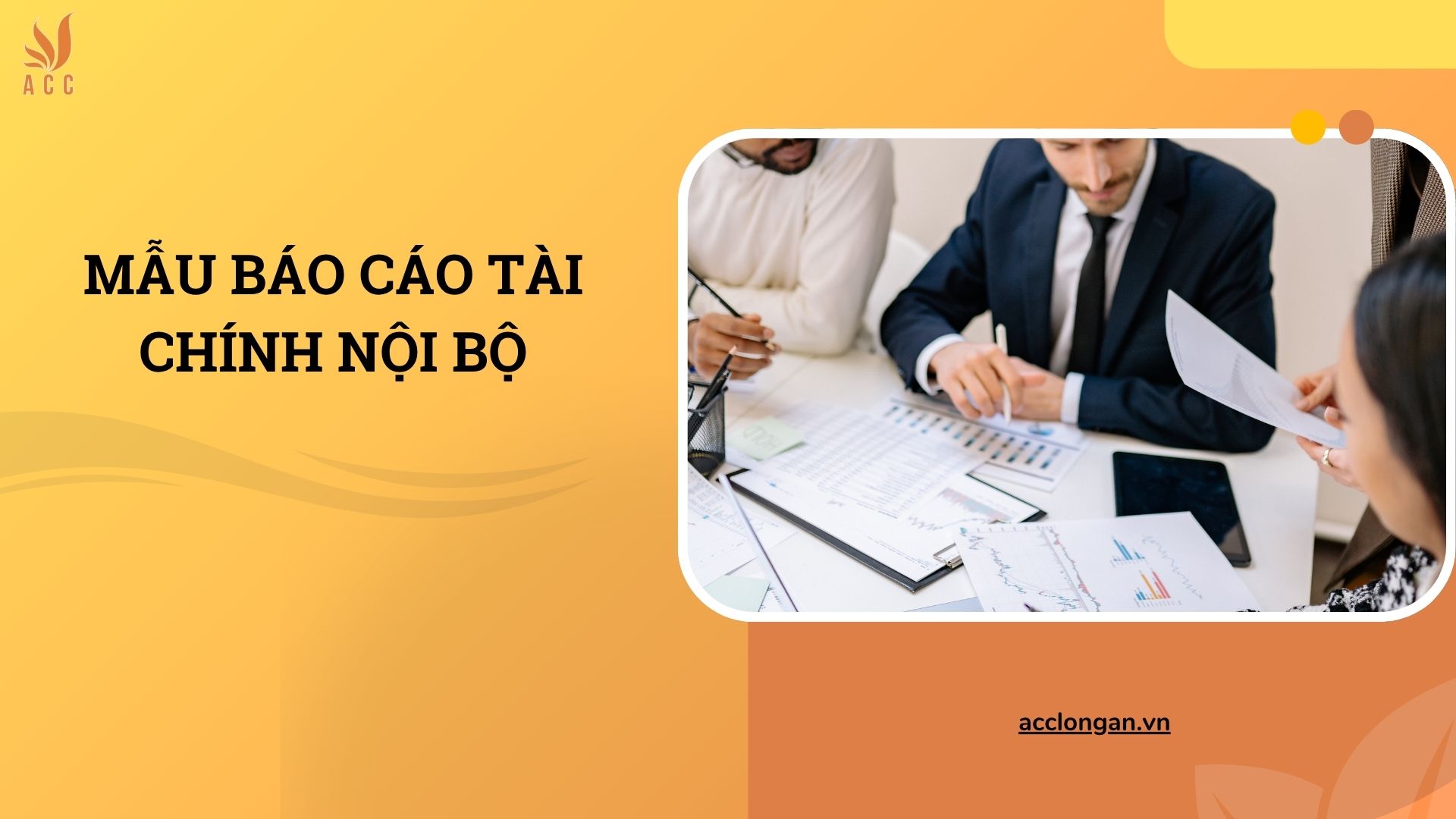 Mẫu báo cáo tài chính nội bộ