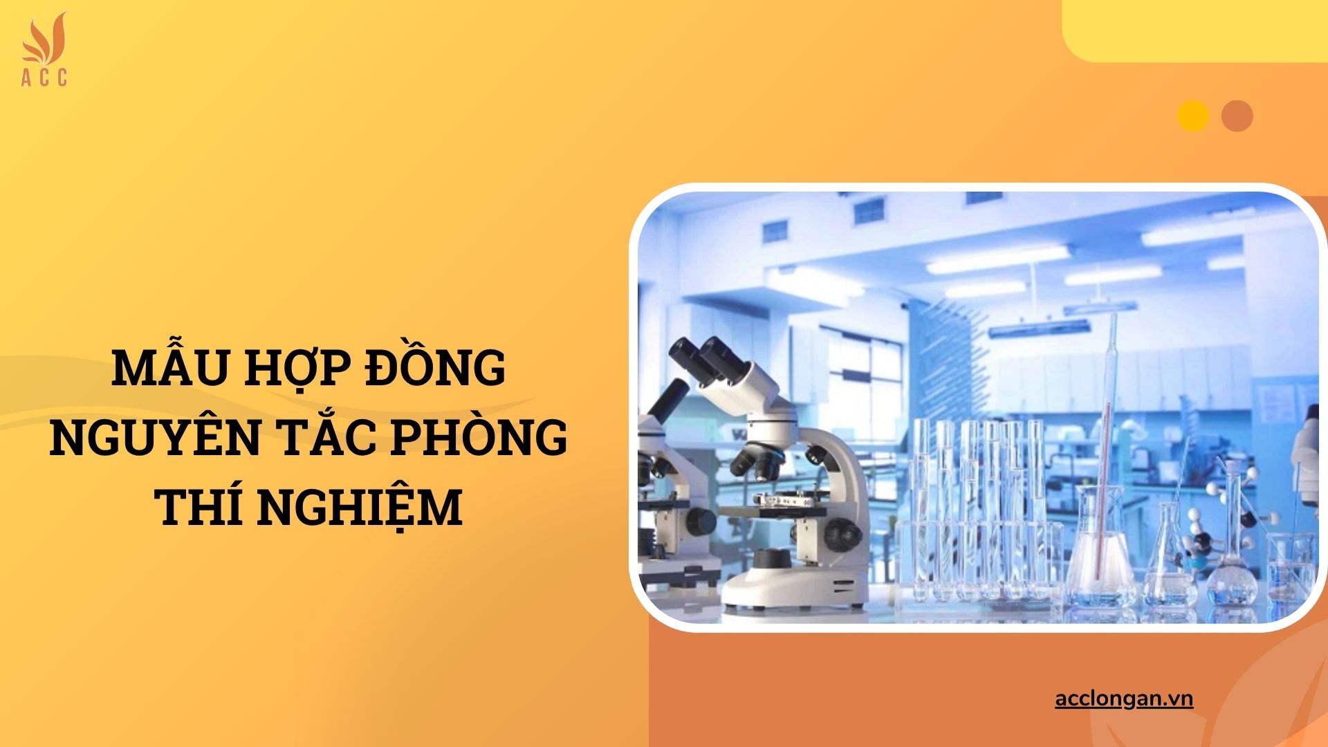 Mẫu hợp đồng nguyên tắc phòng thí nghiệm