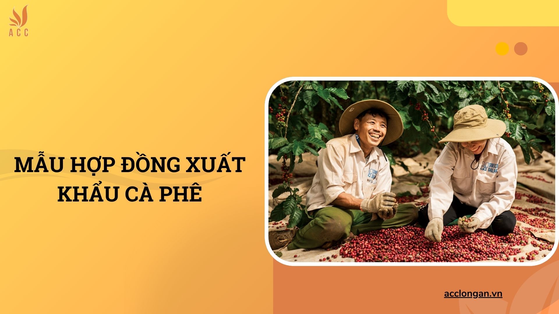 Mẫu hợp đồng xuất khẩu cà phê