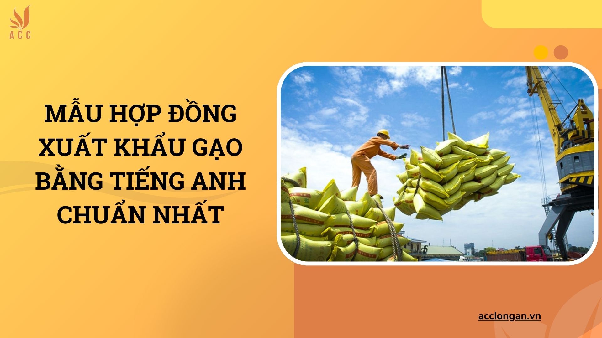 Mẫu hợp đồng xuất khẩu gạo bằng tiếng Anh chuẩn nhất
