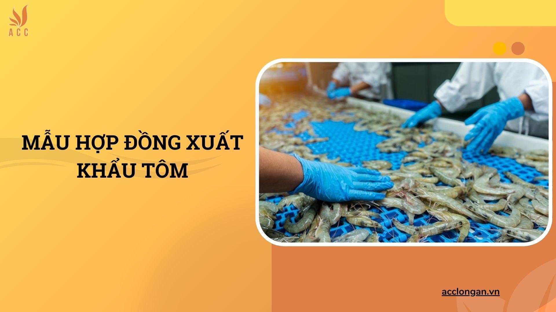Mẫu hợp đồng xuất khẩu tôm