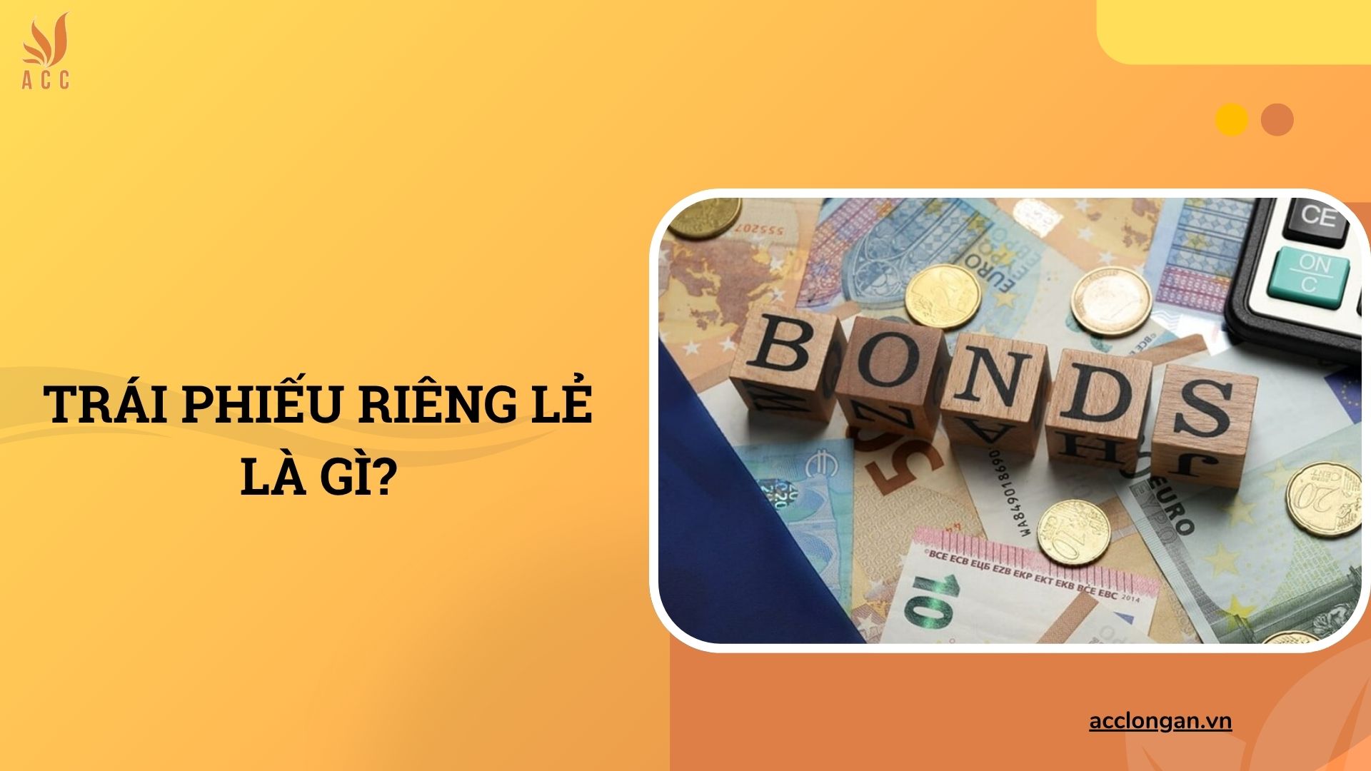 Trái phiếu riêng lẻ là gì?
