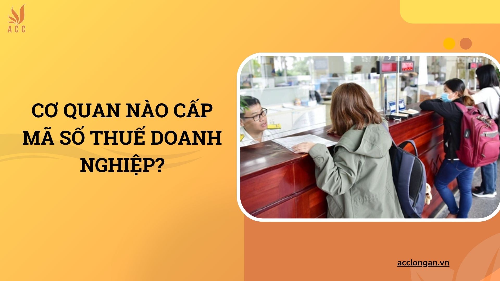 Cơ quan nào cấp mã số thuế doanh nghiệp?