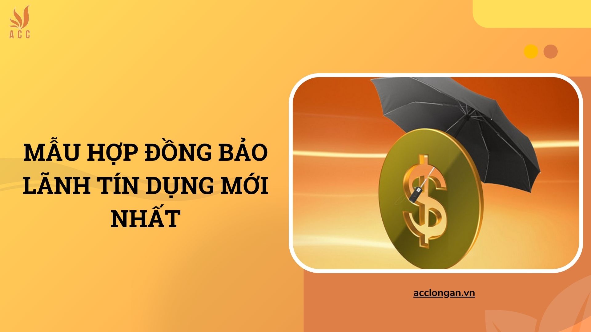 Mẫu hợp đồng bảo lãnh tín dụng mới nhất