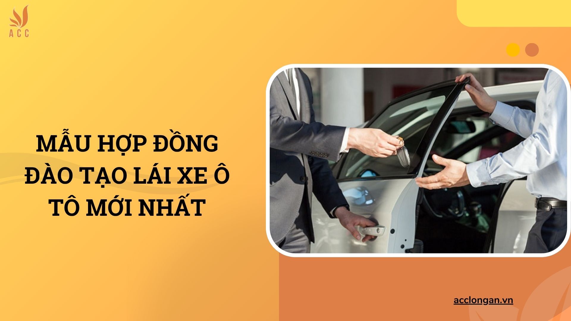Mẫu hợp đồng đào tạo lái xe ô tô mới nhất