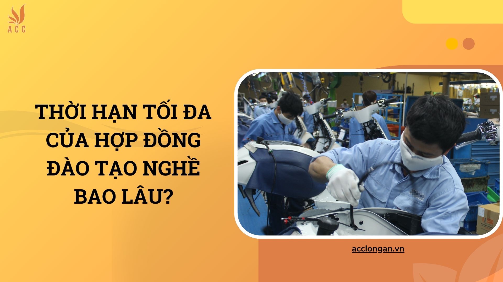 Thời hạn tối đa của hợp đồng đào tạo nghề bao lâu?