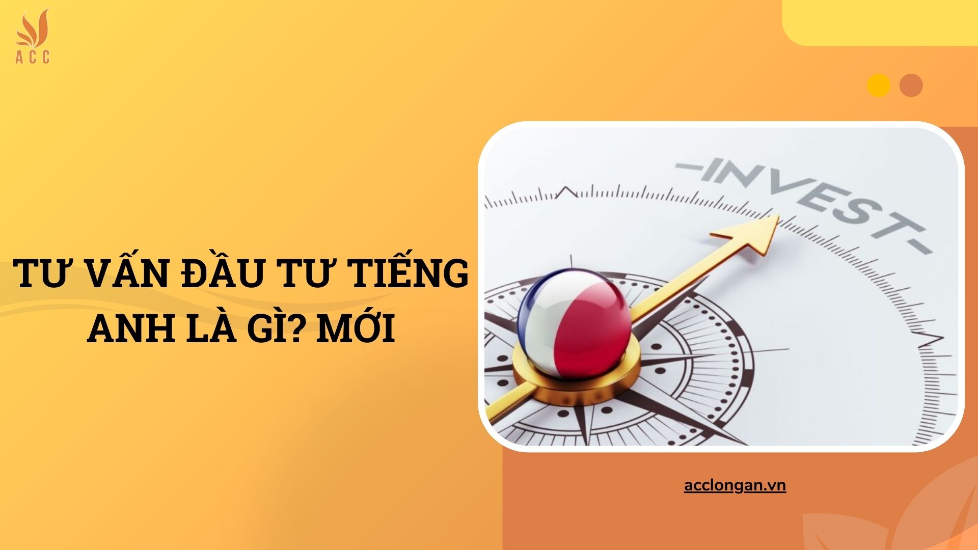 Tư vấn đầu tư tiếng anh là gì? Mới