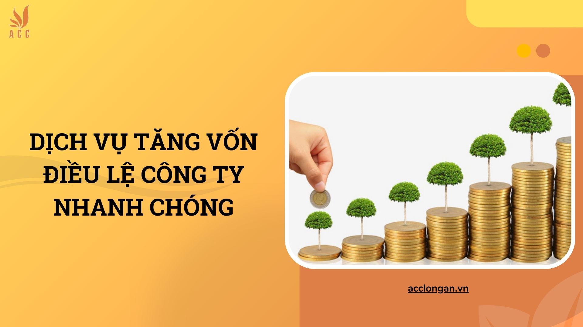 Dịch vụ tăng vốn điều lệ công ty nhanh chóng