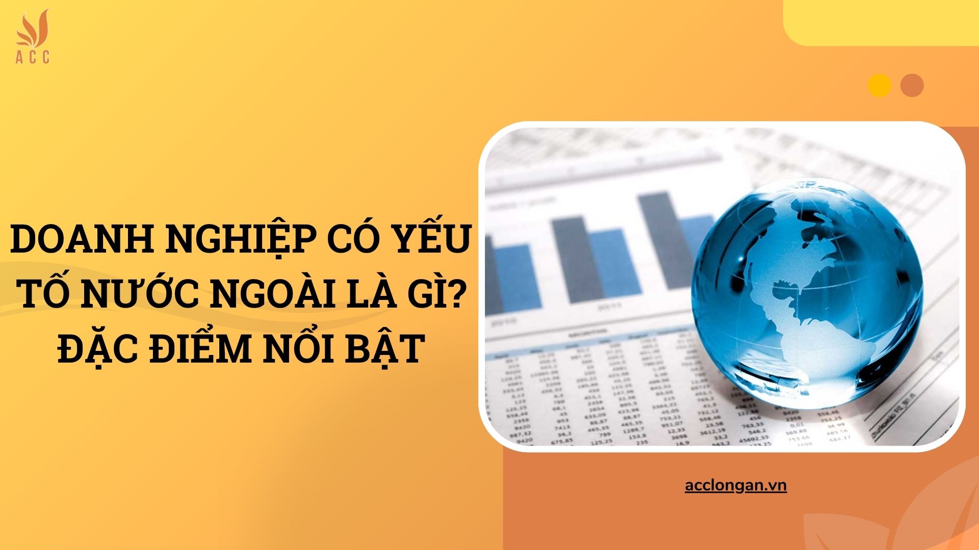 Doanh nghiệp có yếu tố nước ngoài là gì? Đặc điểm nổi bật