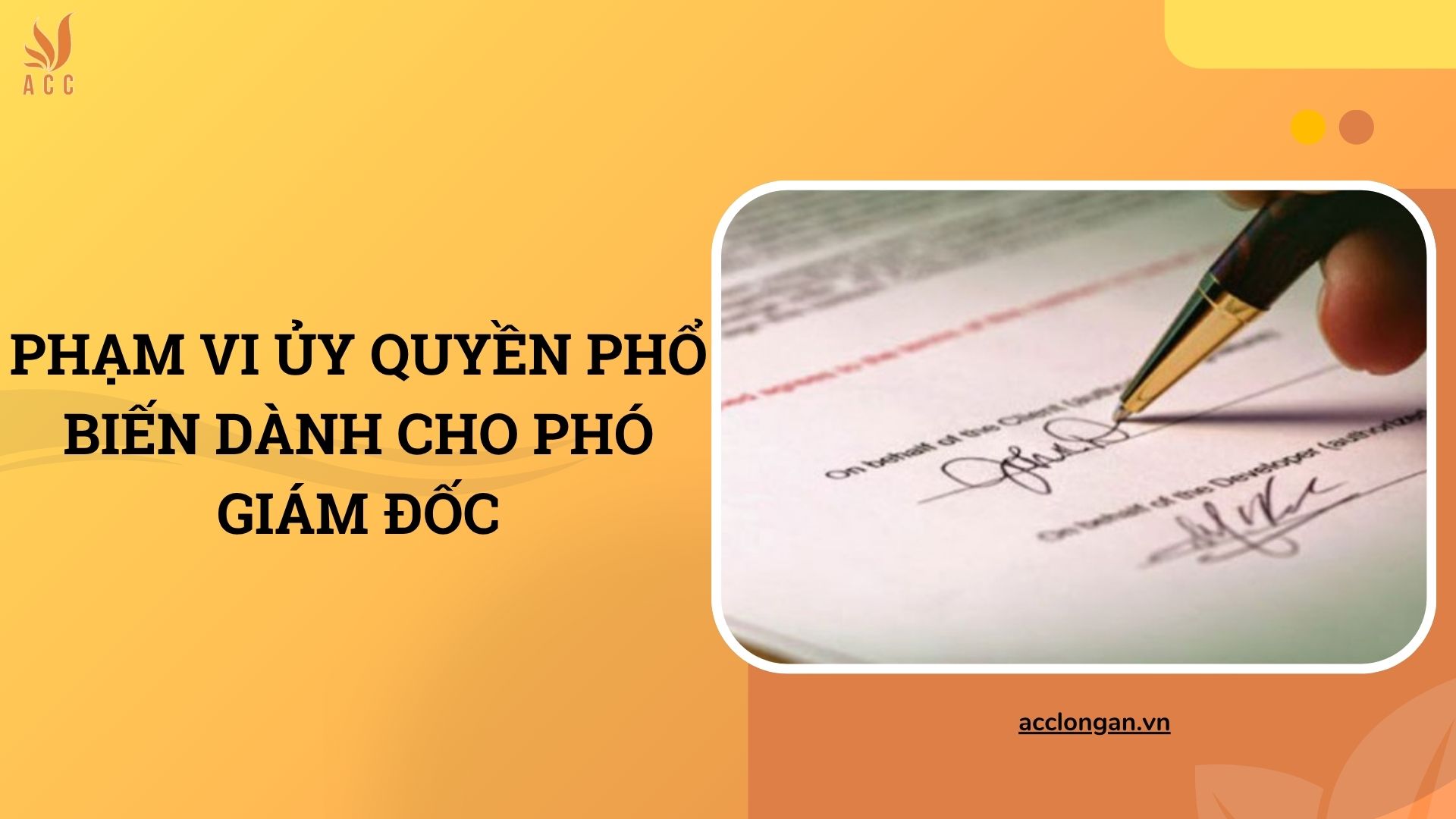 Phạm vi ủy quyền phổ biến dành cho Phó Giám đốc