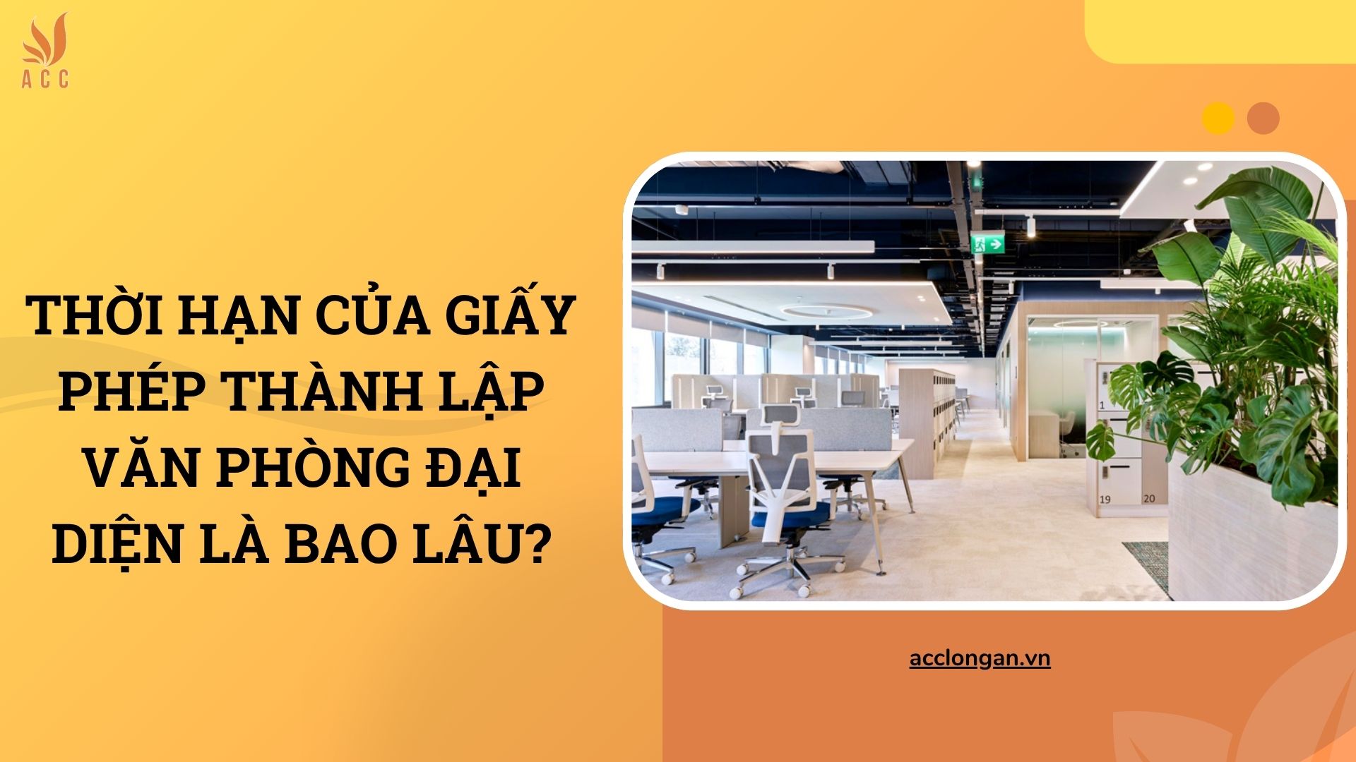 Thời hạn của giấy phép thành lập văn phòng đại diện là bao lâu?