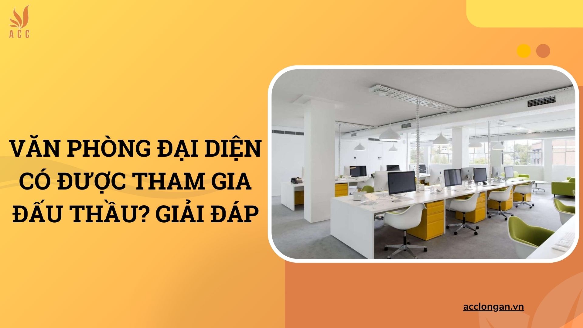 Văn phòng đại diện có được tham gia đấu thầu? Giải đáp